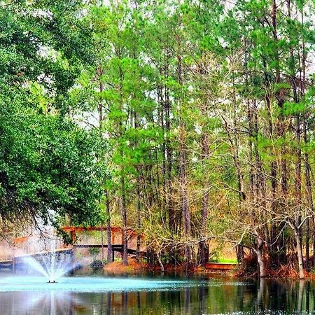Waterfront Houston Hide Out In A Magical Forest Waller Екстер'єр фото