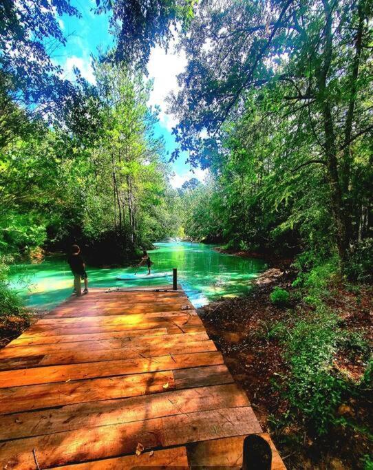 Waterfront Houston Hide Out In A Magical Forest Waller Екстер'єр фото